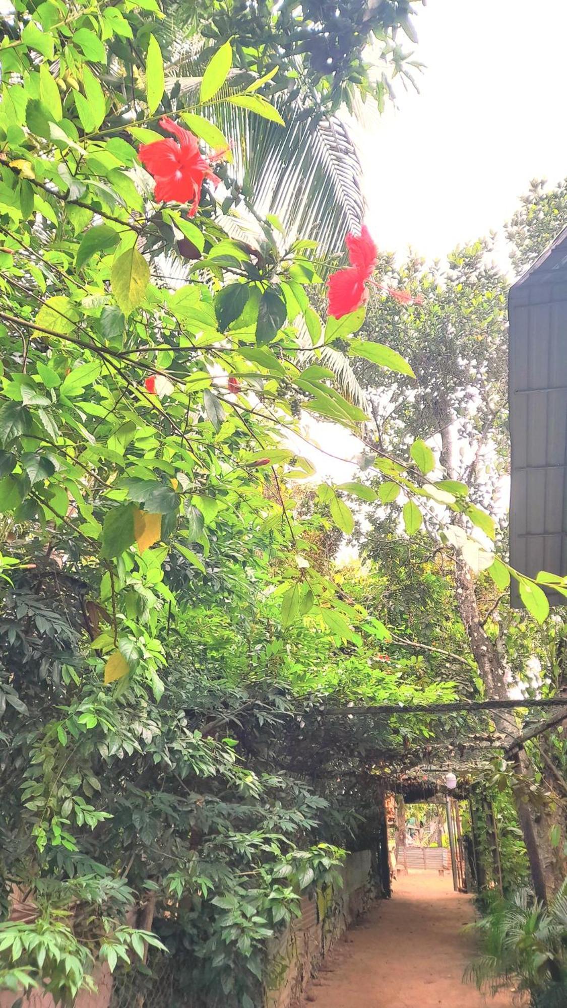 Sok Phen Homestay Siem Reap Exterior foto