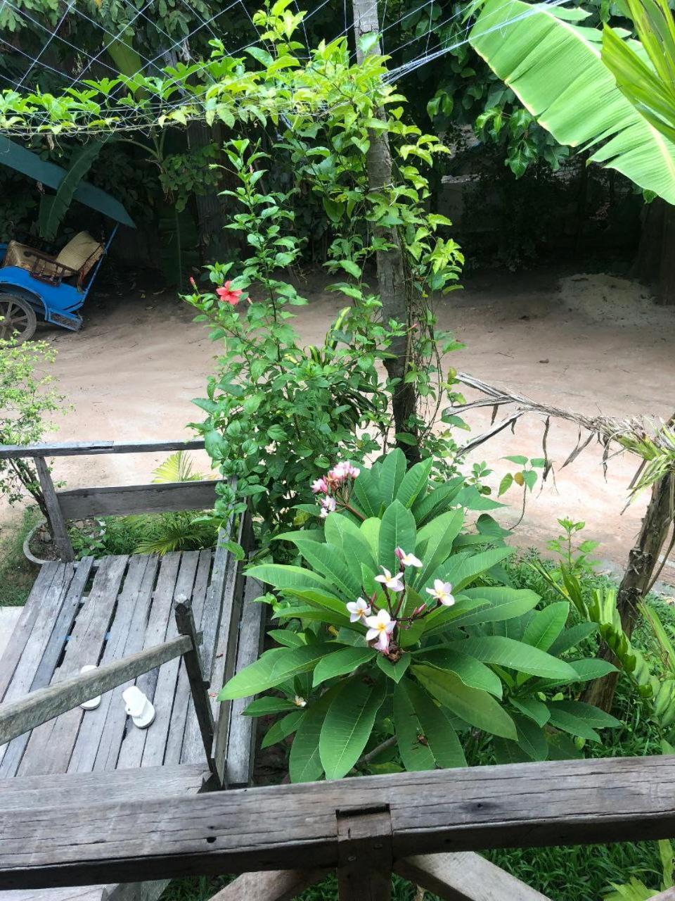 Sok Phen Homestay Siem Reap Exterior foto