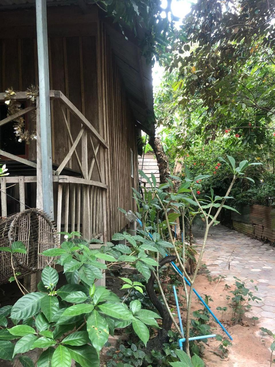 Sok Phen Homestay Siem Reap Exterior foto